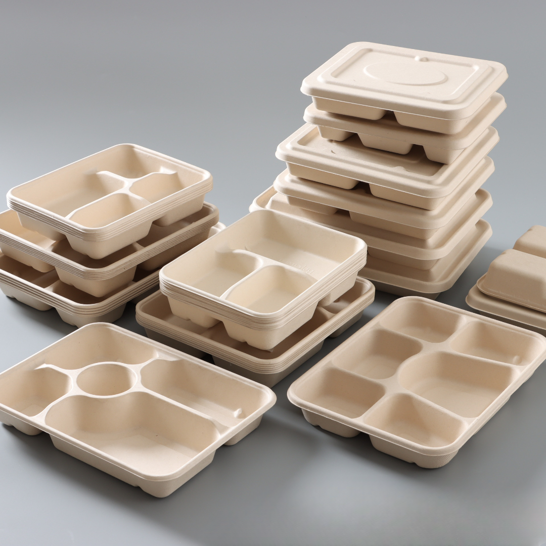 Compartment Paper Meal Box