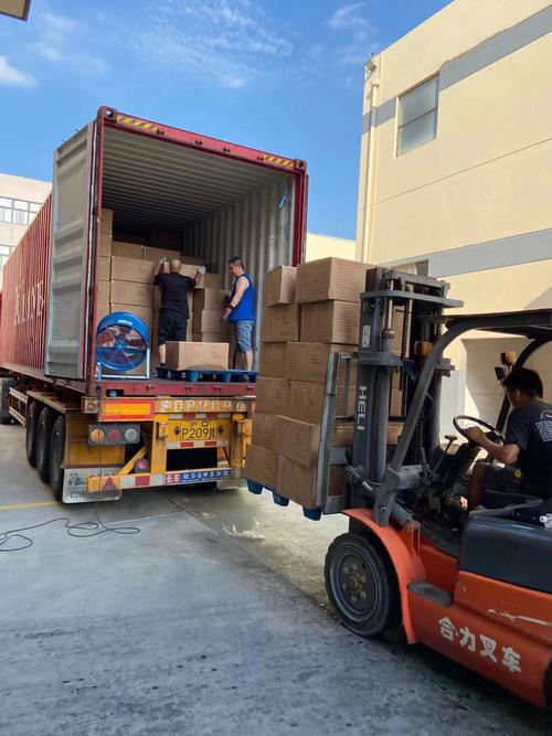 Boxivia packaging export shipping container and global DDP logistics delivery