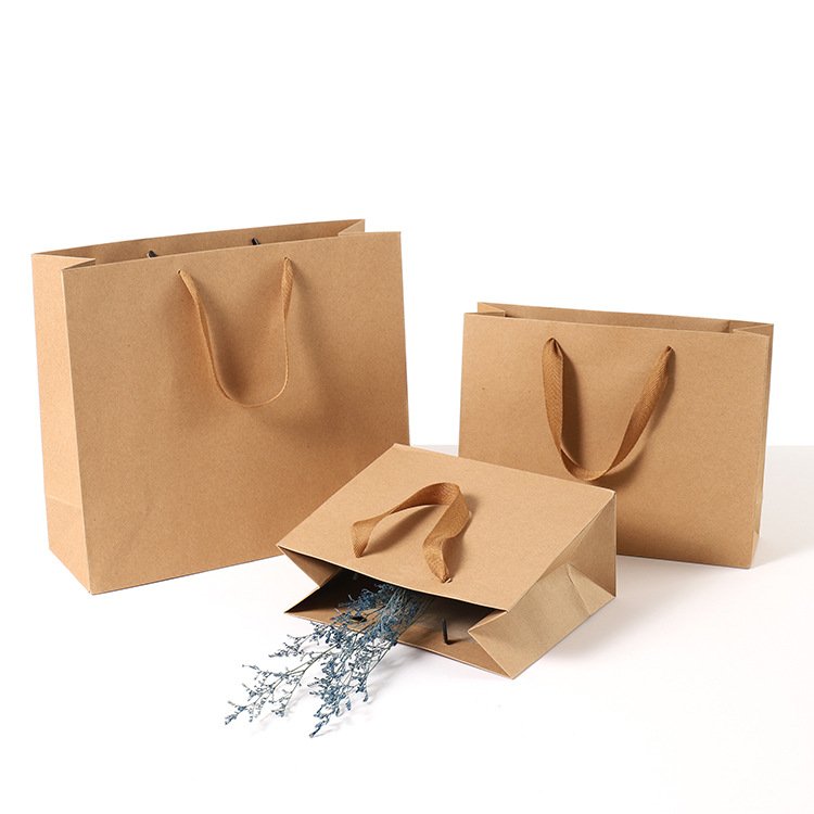 Luxury rope and ribbon handle paper bags for boutique retail and events